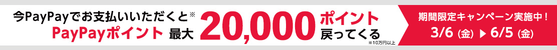 PayPayキャンペーン2026