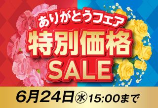 母の日＆父の日ありがとうフェア［6/24 15:00まで］