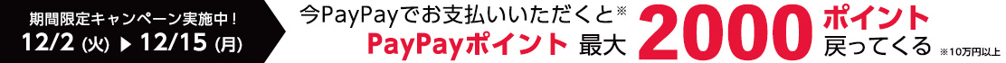 paypayクーポンキャンペーン
