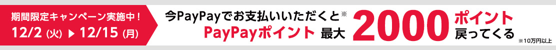 paypayクーポンキャンペーン