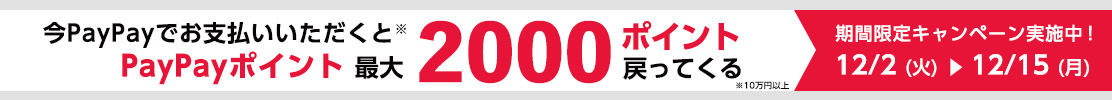 paypayクーポンキャンペーン