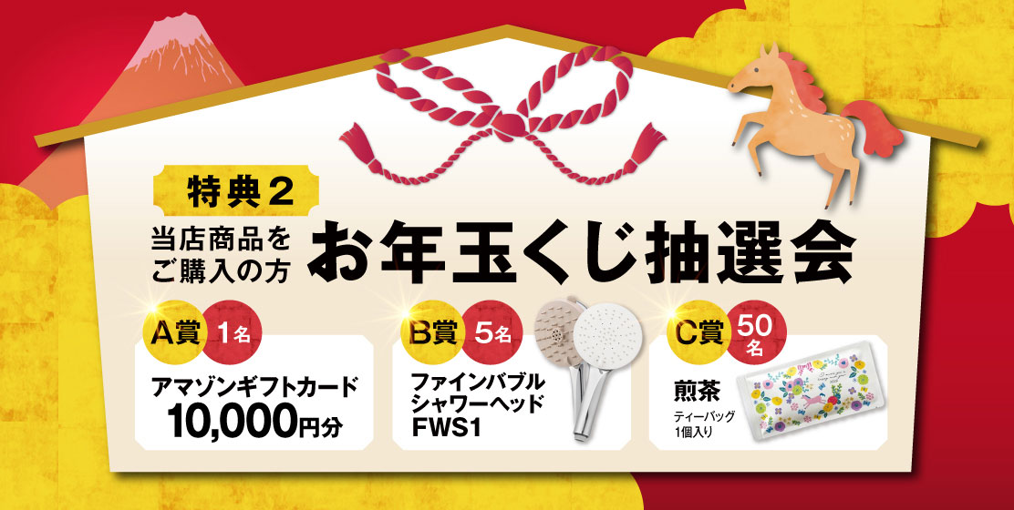 お年玉プレゼント抽選会