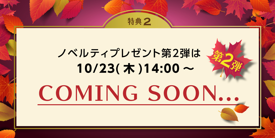 秋のプレゼント第2弾