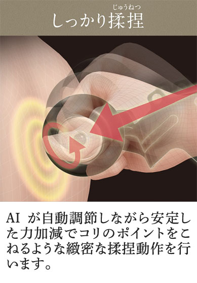 5D-AIメカによるもみ動作イメージ3