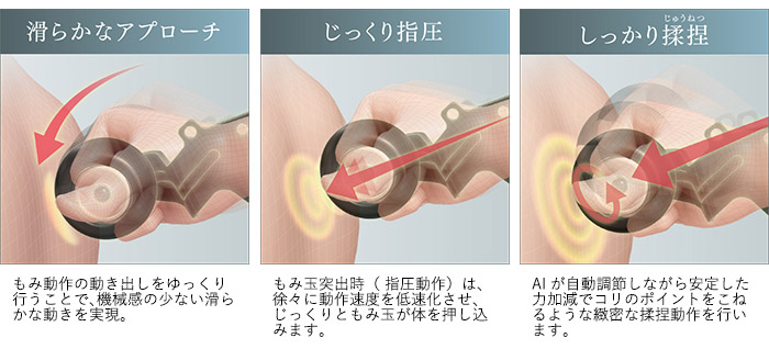 5D-AIメカPLUSによるもみ動作イメージ