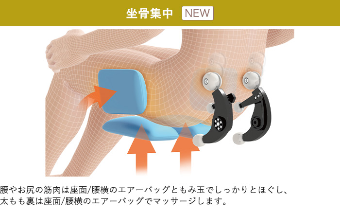 坐骨集中コース