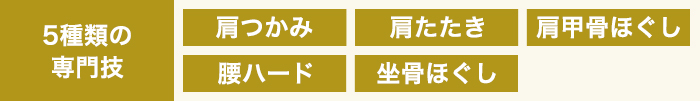 基本もみ技4タイプ+ 部位専門技5種類