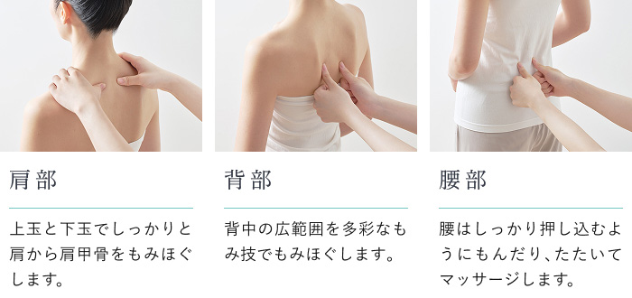各部位